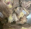 澳紐寶 烏拉圭原切牛肋排段2斤  燉煮食材 生鮮牛肉 曬單實(shí)拍圖