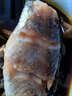 【京東冷鏈】紅石斑魚鮮活冷凍刺少肉厚大紅魚龍膽富貴魚海魚海鮮 紅石斑魚1.8斤-2斤/條 鮮活速凍超大紅石斑魚3條 曬單實(shí)拍圖