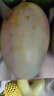 四川攀枝花凱特芒果2/3/4/5斤 帶箱2斤單果200g+ 曬單實拍圖