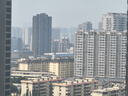 富圖寶（Fotopro）空氣三號 mini 球形云臺便攜式可拓展碳纖維相機(jī)三腳架 送手機(jī)夾 曬單實(shí)拍圖