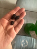 墨源桑葚中藥材新疆干桑椹茶黑桑葚桑甚干子新鮮長(cháng)果干非野生泡水酒粉 桑葚250克【新貨】 曬單實(shí)拍圖