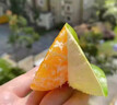 云南橘子蜜橘10斤新鮮蜜桔當季現(xiàn)摘早熟柑橘小青綠皮孕婦水果整箱 甄選3斤中果【50~55mm】 曬單實拍圖