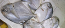野生海捕銀鯧魚(yú)5條/斤新鮮冷凍批發(fā)海鮮水產(chǎn)白鯧魚(yú)一箱海魚(yú)扁平魚(yú) 野生海捕銀鯧魚(yú)500g/袋*3（15條） 曬單實(shí)拍圖