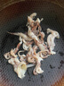 一蝦一世界新鮮冷凍大號三去魷魚須 魷魚爪生鮮火鍋燒烤食材 魷魚須帶冰 500g(凈重)  350g 曬單實拍圖