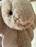 Jellycat害羞米色邦尼兔動物毛絨玩偶安撫公仔送禮潮玩娃娃生日禮物520 米色 Large 曬單實(shí)拍圖