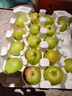 新鮮青蘋(píng)果 小蘋(píng)果酸甜脆爽口多汁應季孕婦酸水果現摘水果整箱 凈重8.5-9斤 實(shí)惠裝丨單果55mm+ 曬單實(shí)拍圖