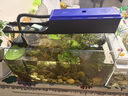 魚缸除藻去苔劑除青苔不傷魚去除綠水褐藻絲藻綠藻絲藻清除劑e 600ml除藻王 曬單實拍圖