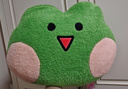 名創(chuàng)優(yōu)品（MINISO）minini系列頭型靠枕毛絨玩具睡覺抱枕沙發(fā)臥室陪伴玩偶 lenini 曬單實(shí)拍圖