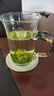唐興龍把綠茶杯專(zhuān)用茶杯家用高硼硅泡茶玻璃杯帶把手透明高顏值水杯子 龍把綠茶杯 320ml 1只 曬單實(shí)拍圖
