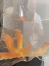 清苔鼠金苔鼠清潔魚(yú)熱帶觀(guān)賞魚(yú)清道夫鼠魚(yú)魚(yú)缸清理糞便除藻魚(yú) 8-10厘米金苔鼠5條（4+1備損） 金苔鼠 曬單實(shí)拍圖