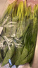 【產(chǎn)地直采】大菠菜300g 曬單實(shí)拍圖