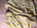 芬騰睡褲女夏季純棉薄款透氣短褲女款休閑寬松家居褲單褲 黃色條紋 M 曬單實(shí)拍圖