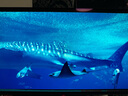 華碩ROG 絕神 OLED 26.5英寸2K電競顯示器280Hz顯示器0.03ms響應(yīng)HDR400真10Bit G-SYNC兼容 OLED顯示器 曬單實(shí)拍圖