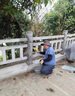 世騰水泥仿木護欄河道池塘防護欄公園景觀(guān)扶手欄桿庭院戶(hù)外混凝土圍欄 專(zhuān)業(yè)接來(lái)圖定制咨詢(xún)客服快速報價(jià) 曬單實(shí)拍圖