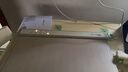 小熊（Bear）折疊暖菜板飯菜保溫板熱菜板 硅膠加熱板桌墊菜板多功能加熱墊 柔性面板解凍溫奶BWB-N04Q1 曬單實(shí)拍圖