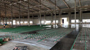 室內(nèi)運(yùn)動(dòng)木地板羽毛球館健身房體育館單雙龍骨結(jié)構(gòu)運(yùn)動(dòng)木地板廠家 楓樺木A級(jí)面板 曬單實(shí)拍圖