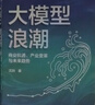 大模型浪潮 沈抖著 中信出版社圖書 曬單實拍圖