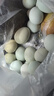 香丹青 綠殼烏雞蛋 新鮮農(nóng)家散養(yǎng)土雞蛋正宗五谷黑雞 40枚 曬單實(shí)拍圖