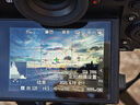 灃標(biāo)DMW-BLJ31單反微單相機(jī)電池 松下DC-S1R S1H S1M S1K S1GK座充充電器配件 標(biāo)準(zhǔn)版鋰電池 智能液晶雙槽充電器 BLJ31【3200mAh】3C認(rèn)證 曬單實(shí)拍圖
