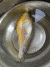 黃花魚(yú)生鮮 2斤一條可選 野生大黃魚(yú)活魚(yú)冷凍生態(tài)海捕 禮盒裝魚(yú)類(lèi) 6條 家庭首選【 禮盒裝】 2斤/條【送禮首選】 曬單實(shí)拍圖