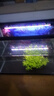 JUWEL高亮魚缸燈照明燈多功能變色led水族箱專用燈具小型燈管全光譜 燈長47cm(可用50-60cm) T4雙排變色燈（單燈）USB接口 曬單實(shí)拍圖