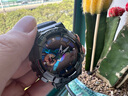 卡西歐（CASIO） 男表黑武士G-SHOCK運(yùn)動(dòng)手表小鋼炮黑金防水時(shí)尚石英腕表送男友 GM-110B-1APR 曬單實(shí)拍圖