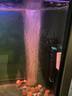 創(chuàng  )寧魚(yú)缸氧氣泵 養魚(yú)氣泵 水族箱增氧泵 打氧加氧泵 增氧機充氧泵 套餐四【大號6.5W】10cm納米沙盤(pán) 曬單實(shí)拍圖
