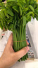 順豐包郵新鮮樹(shù)仔菜潮汕樹(shù)菜海南五指山野菜酒店私房特色菜當季 0.5斤 順豐 曬單實(shí)拍圖