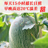 【順豐】新疆吐魯番哈密瓜 火焰山甜瓜 新鮮水果送禮特產(chǎn) 【9-10斤】約2-3個(gè) 曬單實(shí)拍圖