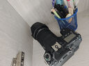 佳能 EOS 70/80/90/100D/D系列 二手單反相機 佳能 EOS 80D 機身 機身+佳能EF-S18-135mm 曬單實(shí)拍圖