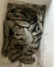 蝦有蝦途青島大蝦 超大號(hào)青蝦鮮蝦海蝦基圍蝦鮮冷凍生鮮水凍特大15-17cm 15-17厘米整箱 3斤(凈重)  【近期新貨】 曬單實(shí)拍圖