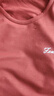皮爾卡丹（pierre cardin）莫代爾冰絲t恤短袖男簡約衣服百搭夏季圓領(lǐng)夏裝休閑冰感半袖潮流 8817-223銹紅色 XL【120-140斤】 曬單實拍圖