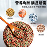 YEE魚食金魚飼料錦鯉魚飼料通用型上浮不渾水觀賞魚專用小型魚魚糧 1100克到手2瓶共2200克 曬單實(shí)拍圖