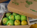 翠康小蝴蝶（CUIKANGXIAOHUDIE）快樂農(nóng)場焦溪翠冠梨梨子精品禮盒新鮮水果當(dāng)季水果現(xiàn)摘現(xiàn)發(fā) 禮盒裝 10只精品大果 曬單實(shí)拍圖