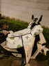巒騰小牛NST電動(dòng)車擋風(fēng)被專用冬季加厚加大圍脖護(hù)肩防水防風(fēng)電動(dòng)摩托車電瓶車用品配件擋風(fēng)罩適用于 【基礎(chǔ)圍脖款】飛行小狗 【加寬加大】小牛NST專用 曬單實(shí)拍圖