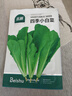 北蔬 小白菜種子苗秋四季陽臺速生青菜蔬菜種籽 四季小白菜種子2000粒 曬單實拍圖