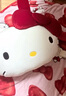 野獸派家居（tbh）三麗鷗Hello Kitty二合一法蘭絨抱枕毯空調毛毯午睡毯車(chē)載靠枕毯 曬單實(shí)拍圖