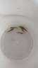 金苔鼠魚魚缸清潔魚工具魚魚缸除藻清理糞便小型熱帶觀賞魚魚活體 金苔鼠4條送備損2條【發(fā)6條】 曬單實拍圖