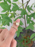 花有心柿山茶花愛心開口戒指女小眾設(shè)計(jì)高級感尾戒女輕奢指環(huán)食指戒指簡約 山茶花愛心+一字排鉆開口戒指 曬單實(shí)拍圖