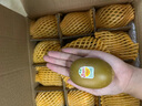 佳沛 新西蘭陽光金果6粒550g  曬單實拍圖