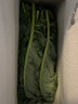 【順豐】有機(jī)羽衣甘藍(lán) 沙拉菜健康輕食榨汁 無農(nóng)殘有機(jī)蔬菜 1斤 精選 曬單實(shí)拍圖