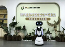 星空大白小雪AI展廳講解業(yè)務(wù)咨詢廣告宣傳商務(wù)接待迎賓機(jī)器人接入DeepSeek 充電器 曬單實(shí)拍圖