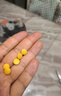 【原研進口】韋立得 富馬酸丙酚替諾福韋片 25mg*30片/盒*3盒 曬單實拍圖
