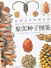 【秋冬好物】落葉觀(guān)察手冊+果實(shí)種子觀(guān)察手冊 數百張高清圖片 認識160種常見(jiàn)樹(shù)木的果實(shí)與種子 260種常見(jiàn)樹(shù)木落葉 探尋植物隱藏的生存智慧與生命之謎 世界上不可思議的果實(shí)種子圖鑒 曬單實(shí)拍圖