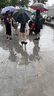 有棵樹襪子女船襪純棉春夏7A抗菌防臭吸汗透氣防滑不掉跟淺口薄款隱形襪 曬單實(shí)拍圖