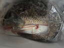 微山湖野生鯉魚四鼻鯉魚新鮮活魚現(xiàn)殺凈膛漁民捕撈 微山湖野生鯉魚 5斤/條(宰殺好15-20%損耗) 曬單實(shí)拍圖