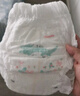 好奇（Huggies）皇家小龍褲紙尿褲M92片(6-11kg)嬰兒尿不濕超薄透氣 曬單實拍圖