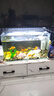 PC魚缸頂部蓋板透明防水魚缸防跳蓋板魚缸蓋透光耐摔保溫定制開口 2MM外蓋開口款（送固定） 60X30cm 曬單實拍圖