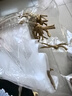 EACHY鞋子收納袋30個行李箱衣物分裝防塵抽繩束口鞋罩套旅游自封袋-大 曬單實拍圖
