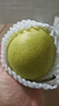 京鮮生 河北青翠蜜梨 凈重4.5斤 單果250g+ 青皇冠梨 生鮮水果 源頭直發(fā) 曬單實拍圖